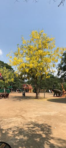 Hanchey Pagoda-Kampong Siem