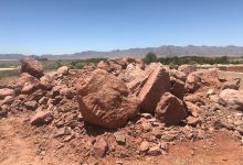 Star Nursery Garden Center购物图片