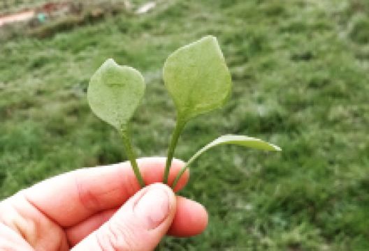 La Fermette du Bois Olive景点图片
