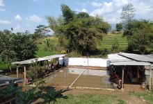 Pemancingan Pak Agus Juhari景点图片