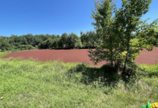 Hughesville Pond景点图片