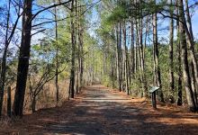 Herring Creek Nature Park景点图片