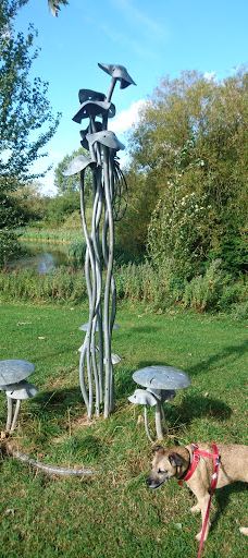 Hemlington Lake-米德尔斯堡