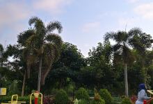 Taman Lalu Lintas Merjosari景点图片