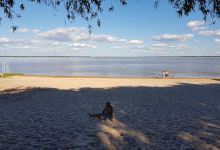 Camping la Laguna景点图片