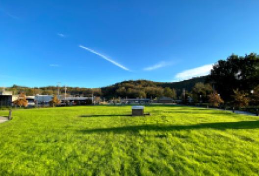 Central Park Livingston景点图片