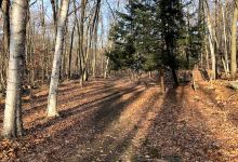 Pruyn Audubon Sanctuary景点图片