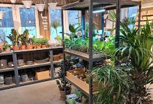 Plantshopen Tullinge Villastad购物图片