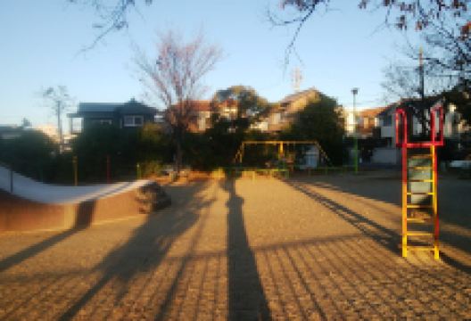 Daiman Park景点图片