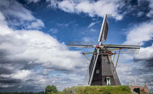 Molen De Grauwe Beer