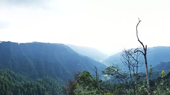 黃水環湖路觀景台