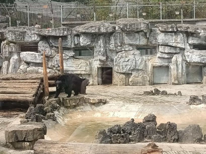 黔灵山动物园-灵长馆