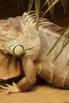 Butterfly Park Empuriabrava-Alt Emporda
