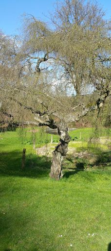 Tyrelodspynten-瓦埃勒