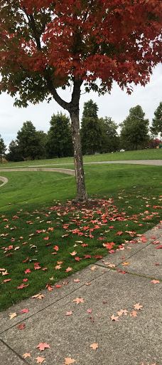 Wes Bennett Park-塞勒姆