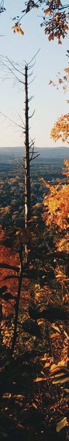 Mount Tom State Reservation-霍利奥克