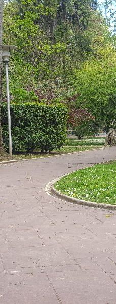 佛罗里达公园-维托里亚