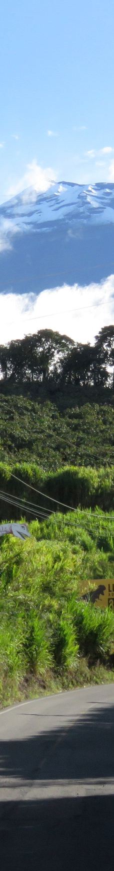 La Casa del Arbol-巴尼奥斯县