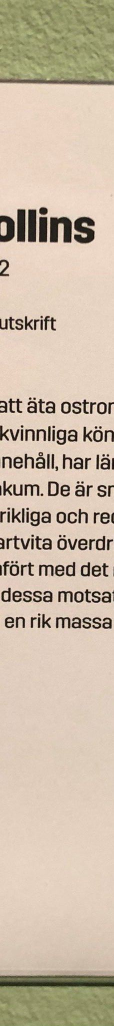 哥特堡美术馆-哥德堡