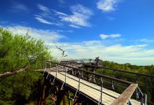World Birding Center景点图片
