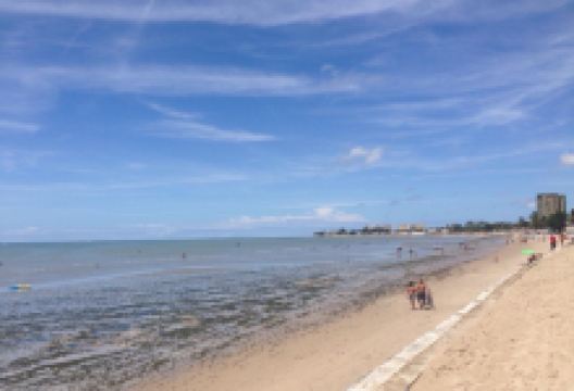 Pau Amarelo Beach景点图片