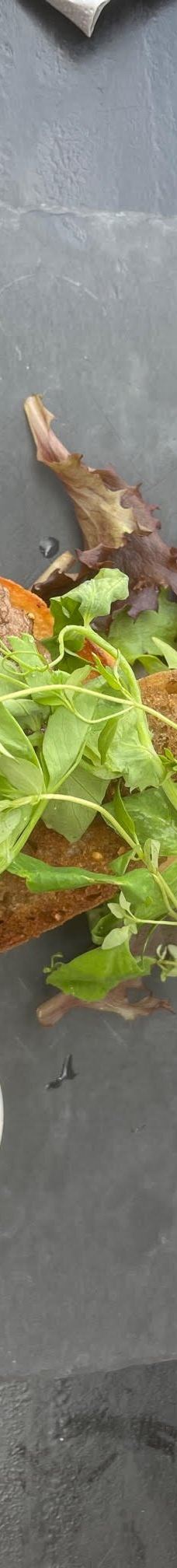 Borglum Kloster-弗罗