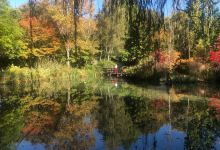 红牛农场景点图片