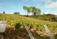 Domaine Serol景点图片