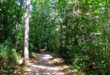 Aldergrove Park景点图片