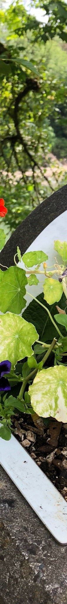 Riverfront Commemorative Park-科瓦利斯