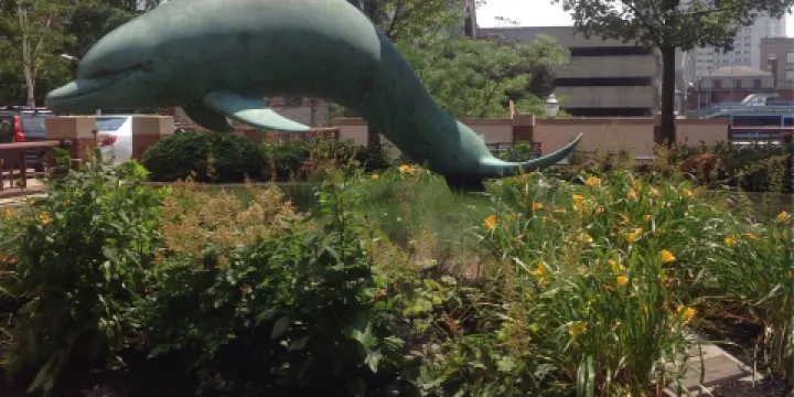 Boy With A Dolphin Statue