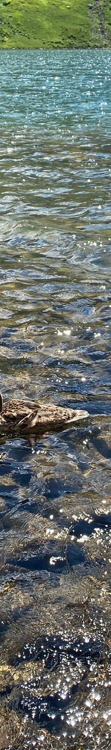 Five Polish Ponds Valley-塔特拉山