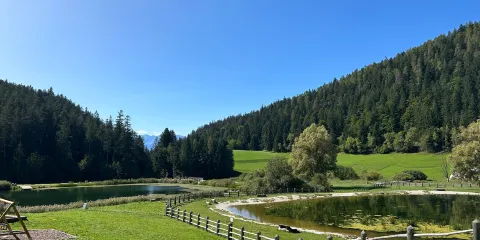 Ai Laghetti di Ruffre: Arte, Natura, Pace