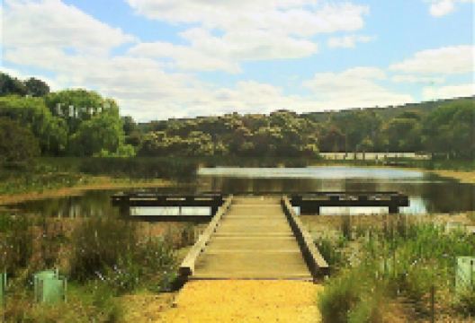 Allen Noble Sanctuary景点图片