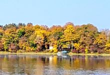 Norway Lake景点图片