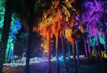 Parco e Villa Comunale景点图片