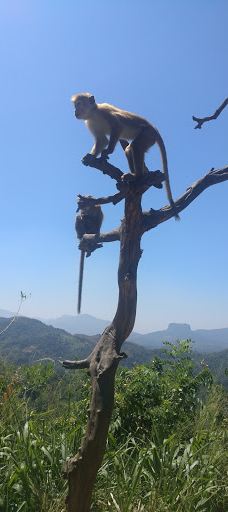 Kadugannawa Rock View and Rest Area-Gangawatakorale
