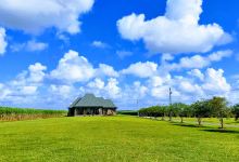 South Vacherie Park景点图片