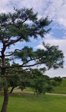 忠州博物馆-清州