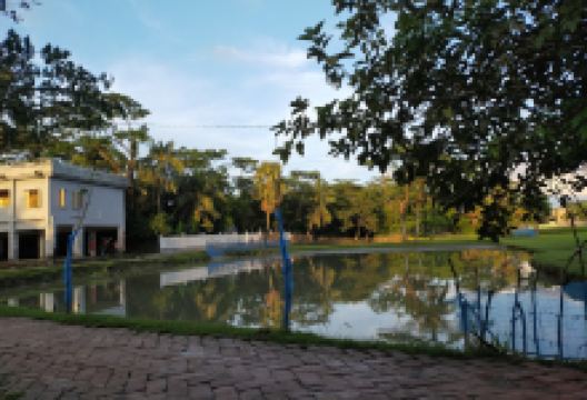 Hogolpati Mosque景点图片