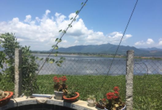 Khu Bảo Tồn Thiên Nhiên Đầm Trà Ổ景点图片