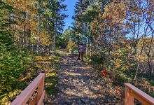 Summerford Hiking Trail景点图片