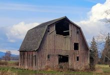Fir Island Farm Reserve景点图片