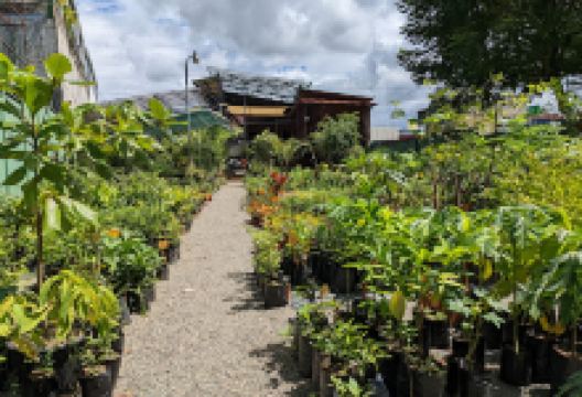 Viveros La Bonita购物图片