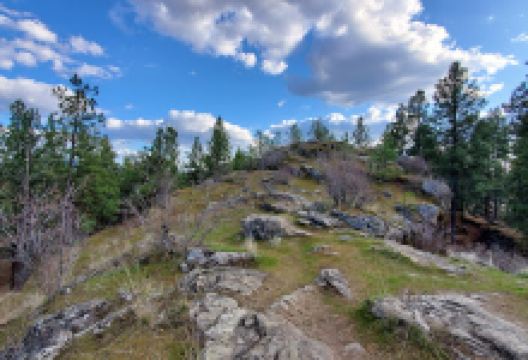 Mirabeau Meadows景点图片