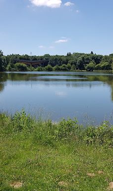 Parc des Gayeulles-雷恩