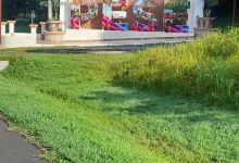 Recreativo Park景点图片