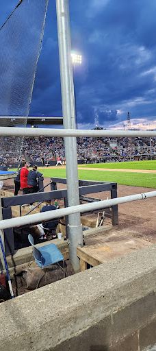 Binghamton Mets Baseball Club-宾汉顿