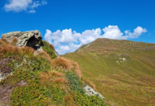 Arbiskopf (2133m)景点图片