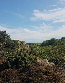 Opal Lake-伯恩霍尔姆